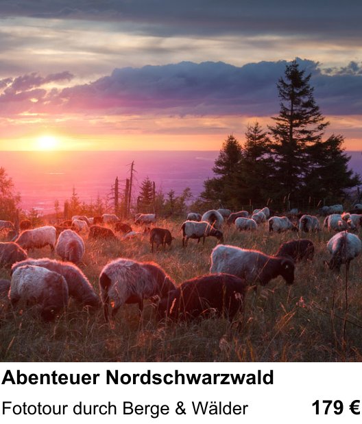 Dynamischer Foto-Workshop – Abenteuer Nordschwarzwald und Fototour durch Berge & Wälder