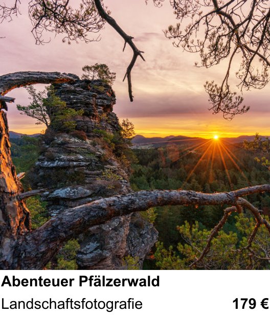 Dynamischer Foto-Workshop – Abenteuer Pfälzerwald und Landschaftsfotografie