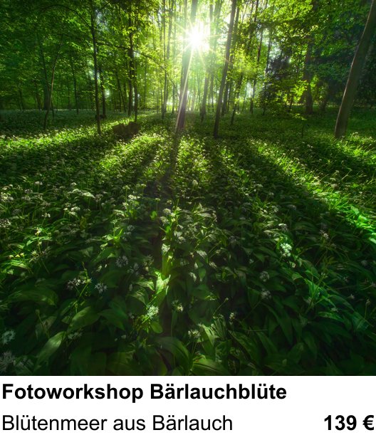 Dynamischer Foto-Workshop – Fotoworkshop Bärlauchblüte und Blütenmeer aus Bärlauch