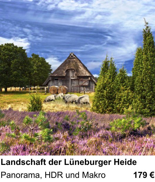 Dynamischer Foto-Workshop – Landschaft der Lüneburger Heide und Panorama, HDR und Makro