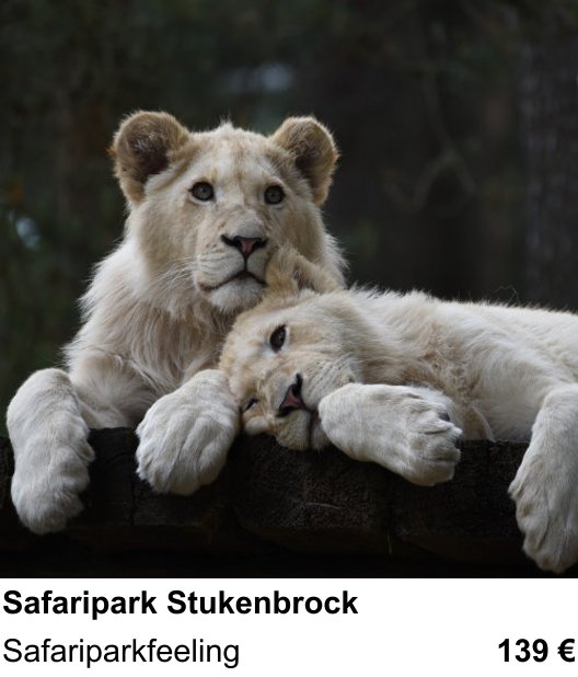 Dynamischer Foto-Workshop – Safaripark Stukenbrock und Safariparkfeeling