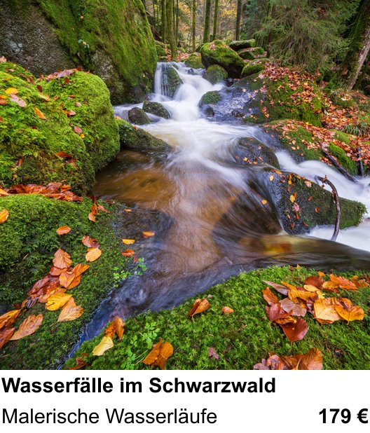 Dynamischer Foto-Workshop – Wasserfälle im Schwarzwald und Malerische Wasserläufe