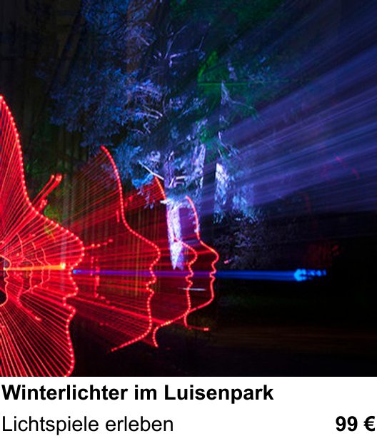 Dynamischer Foto-Workshop – Winterlichter im Luisenpark und Lichtspiele erleben