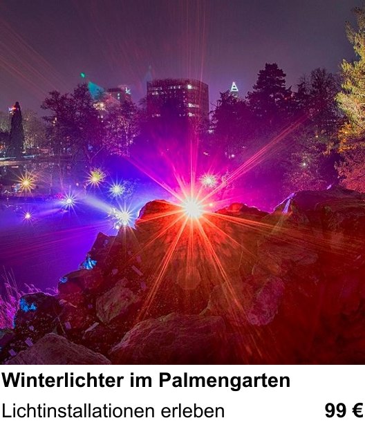 Dynamischer Foto-Workshop – Winterlichter im Palmengarten und Lichtinstallationen erleben